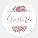 Buscar template platos Bonito