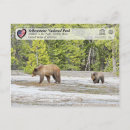 Buscar oso grizzly postales 6 º estadía