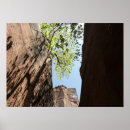 Buscar creciendo posters Árbol