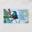 Buscar colibri tarjetas de visita Pájaro
