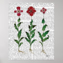 Buscar carnation Animals