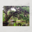 Buscar savannah georgia postales 2 º puente
