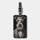 Buscar schnauzer accesorios Retrato