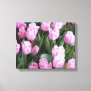 Buscar tulips arte Foto