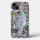 Buscar cardinal iphone fundas Teléfono
