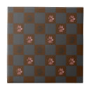 Buscar paw azulejos Para todos