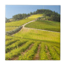 Buscar agricultura azulejos Campo