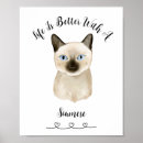 Buscar siamese cat arte Para todos