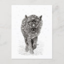 Buscar lobo enojado postales Salvaje