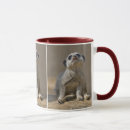 Buscar suricata tazas Lindo