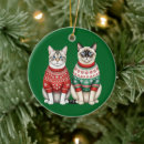 Buscar gatos siameses adornos Amantes de los gatos