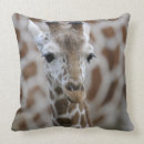 Buscar cabeza de la jirafa cojines Naturaleza