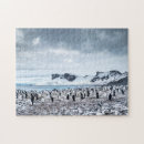Buscar colonias puzzles Nieve