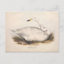 Buscar decoupage postales Ephemera
