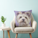 Buscar perro maltés cojines Cachorro