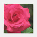 Buscar florist imanes Jardinero