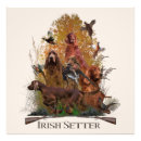 Buscar setter irlandés posters Perro de caza