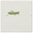 Buscar insecto telas Crema