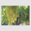 Buscar vino papel de seda Uvas