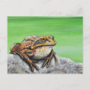 Buscar ranas lindas postales Rana linda
