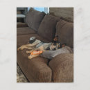 Buscar heeler Zángano