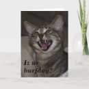 Buscar lol animales tarjetas Adorable