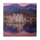 Buscar espectacular azulejos Nadie