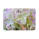 Buscar hydrangea purpura fotografía Lavanda