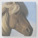 Buscar cabeza de caballo posavasos Animal