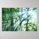 Buscar naturaleza posters Japón