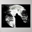 Buscar lobo blanco negro posters Perro