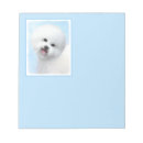 Buscar frises Bichon