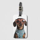 Buscar dachshund accesorios Caprichoso