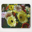 Buscar gerbera alfombrillas de raton Rojo
