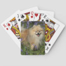 Buscar loulou barajas de cartas Perro