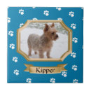 Buscar mascotas azulejos Agudo