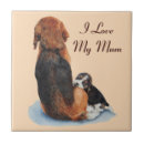 Buscar mamá del perro azulejos Para ella