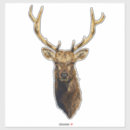 Buscar elk pegatinas Caza