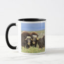 Buscar asta tazas Animal