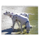 Buscar perro de pastor alemán calendarios Animales
