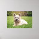 Buscar cairn terrier arte Cachorro