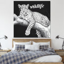 Buscar leopardo blanco posters Vida silvestre