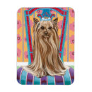 Buscar yorkie imanes Perros
