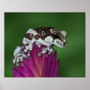 Buscar nature posters Freshness