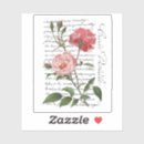 Buscar francés manualidades Rosa