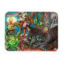 Buscar poción imanes 9 º gata