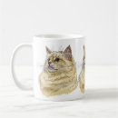 Buscar gato del ragdoll tazas Animal