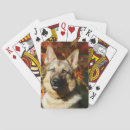 Buscar headshot barajas de cartas Alsatian