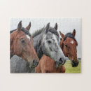 Buscar caballo animal General y unisex