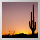Buscar desierto de arizona posters Al aire libre